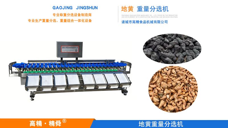 精分黃精，智賦珍品 —— 諸城高精黃精重量分選機(jī)，重塑中藥材分選新標(biāo)準(zhǔn)